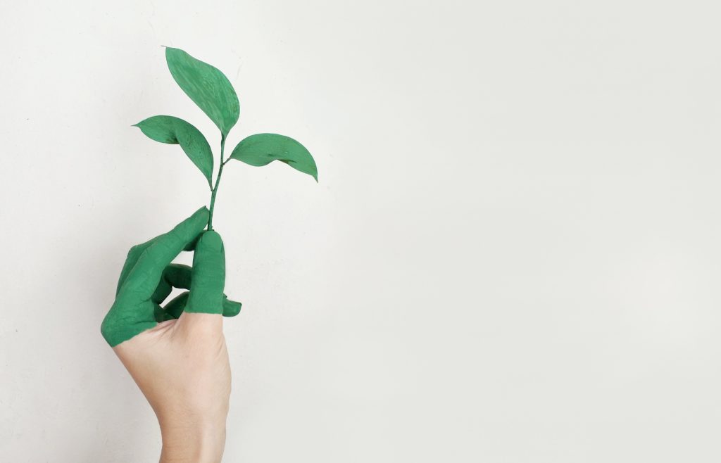 person-s-left-hand-holding-green-leaf-plant-886521 sustainable practices